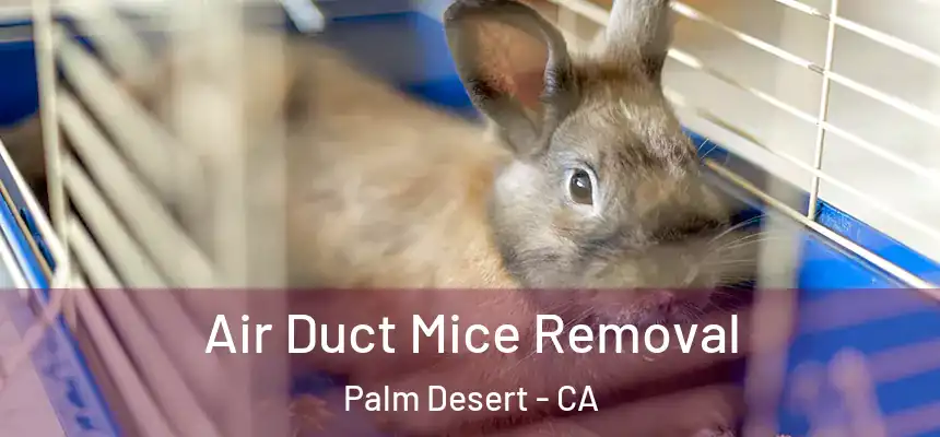 Air Duct Mice Removal Palm Desert - CA