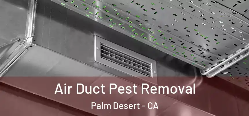  Air Duct Pest Removal Palm Desert - CA