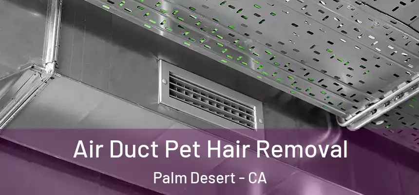Air Duct Pet Hair Removal Palm Desert - CA