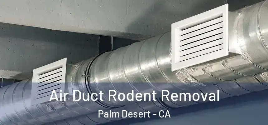  Air Duct Rodent Removal Palm Desert - CA