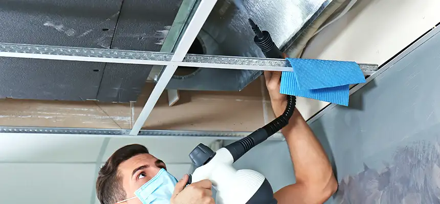 Our Air Duct Rodent Removal Services in Palm Desert, CA