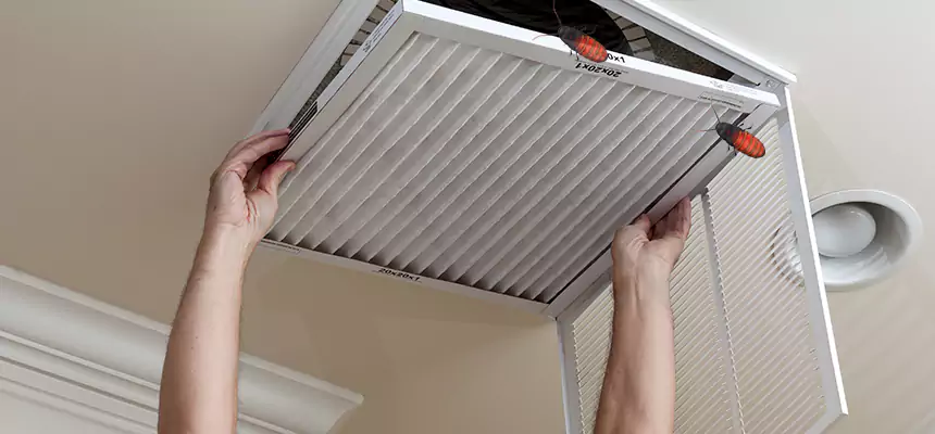 Our Insect Removal from Air Ducts Services in Palm Desert, CA