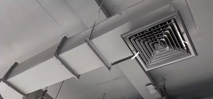 Our Pest Removal From Ducts Services in Palm Desert, CA