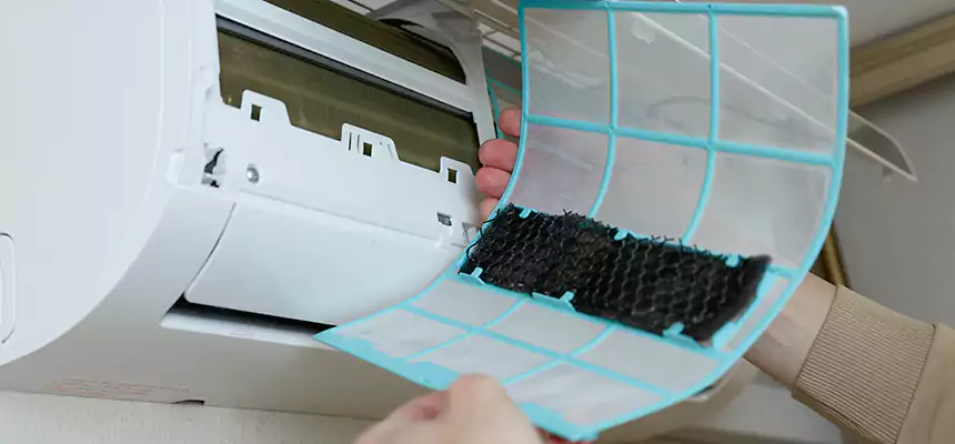 Gentle Ductwork Odor-Control Pet Dander Duct Cleaning in Palm Desert, CA