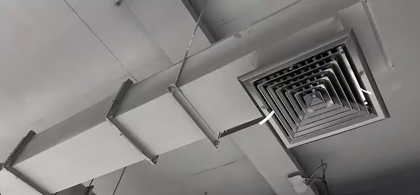 Our Rodent Droppings In Vents Services in Palm Desert, CA