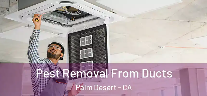 Pest Removal From Ducts Palm Desert - CA