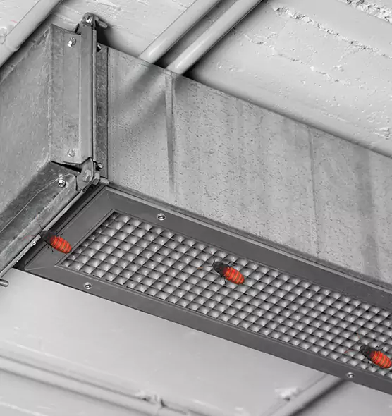 About Air Duct Cockroach Removal in Palm Desert, CA