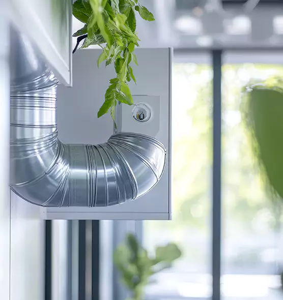 Professional Eco-Safe Dryer Vent Cleaning in Palm Desert, CA